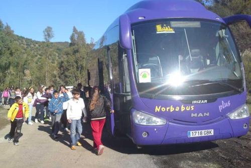 Galería Norbabus