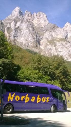 Galería Norbabus
