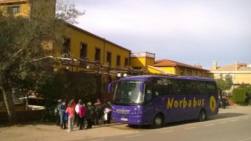 Galería Norbabus